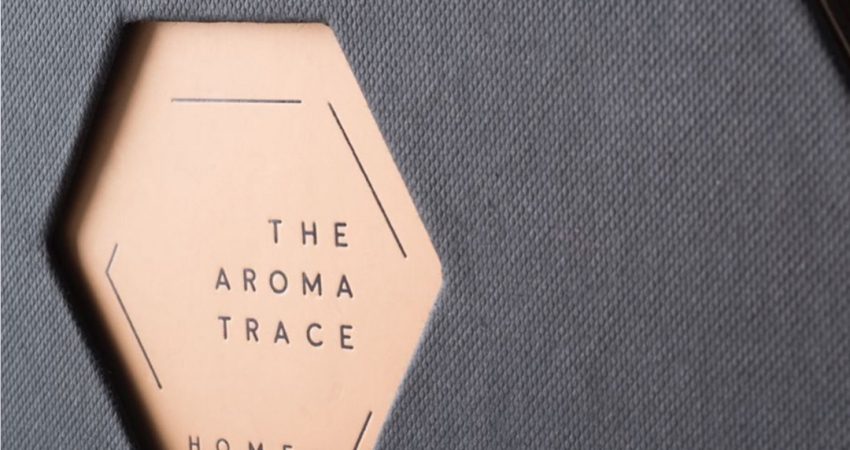 familia pack hex2 1080x1080